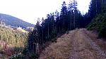 IMG-20181115-WA0015.jpeg