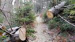 IMG_20181118_141132.jpg