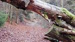 IMG_20181118_143955.jpg