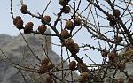 IMG_9810.JPG