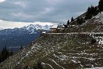 IMG_9873.JPG