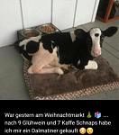 hund.jpg