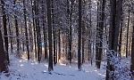 20181212_153359.jpg
