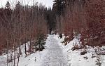 20181222_105320.jpg