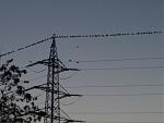 P1040881a.jpg