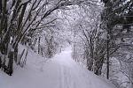 IMG_9930.JPG