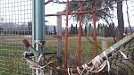 20190120_163446-1032x581.jpg