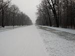 Allee.jpg