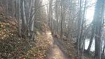 20190216_095555.jpg
