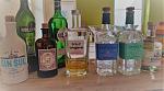 gin.jpg