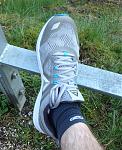 IMG_2077.jpg