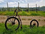 20190425_Markgräflerland Weinberge.jpg