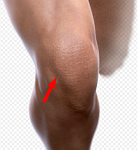 knie.png