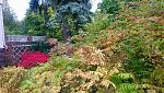 Herbst 1.jpg