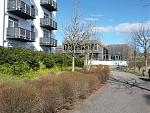 20200314_134601.jpg