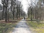 20200328_124018.jpg