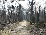 20200328_124151.jpg