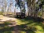 Irgendwo_im_Wald.jpg
