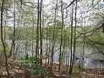 20200425_122340.jpg