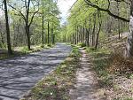 20200425_124611.jpg