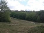 20200425_130537.jpg