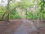 20200502_160125.jpg