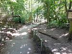 20200521_150846.jpg