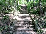 20200521_151351.jpg