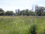 20200521_152358.jpg
