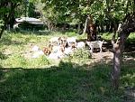 20200521_152720.jpg