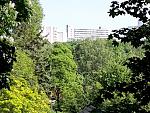 20200521_155006.jpg