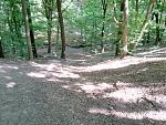 20200521_160050.jpg