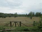 IMGP0720.JPG