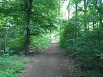 IMGP0726.JPG