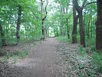 IMGP0770.JPG