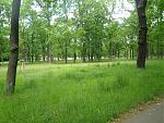 IMGP0786.JPG