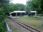 IMGP0795.JPG