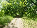 IMGP0827.JPG