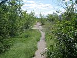 IMGP0835.JPG