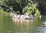 20200601_144550-kleiner.jpg