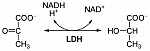 500px-LDH_reaction.svg.png