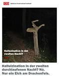 DB_Hallu.jpg