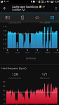 Laufgruppe SaaleDogs + 3x400m.png