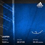 Laufbild 10 km August.jpg
