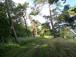 IMGP0921.JPG