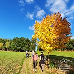 Weiber-Wellness-Wander-Wochenende.jpg