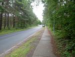 IMGP0955.JPG