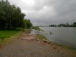 Rhein-1.jpg