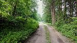P10620-083520.jpg