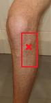 20210804_085859_small_marked.jpg
